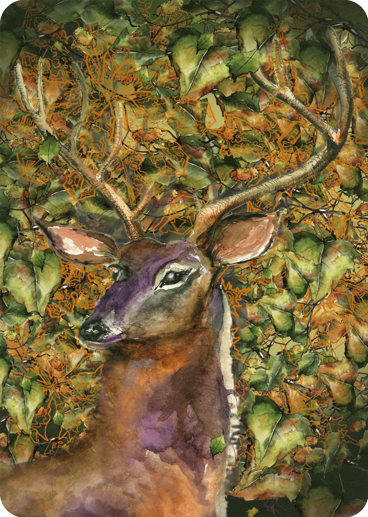 Deer card