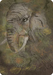 Kaart Olifant
