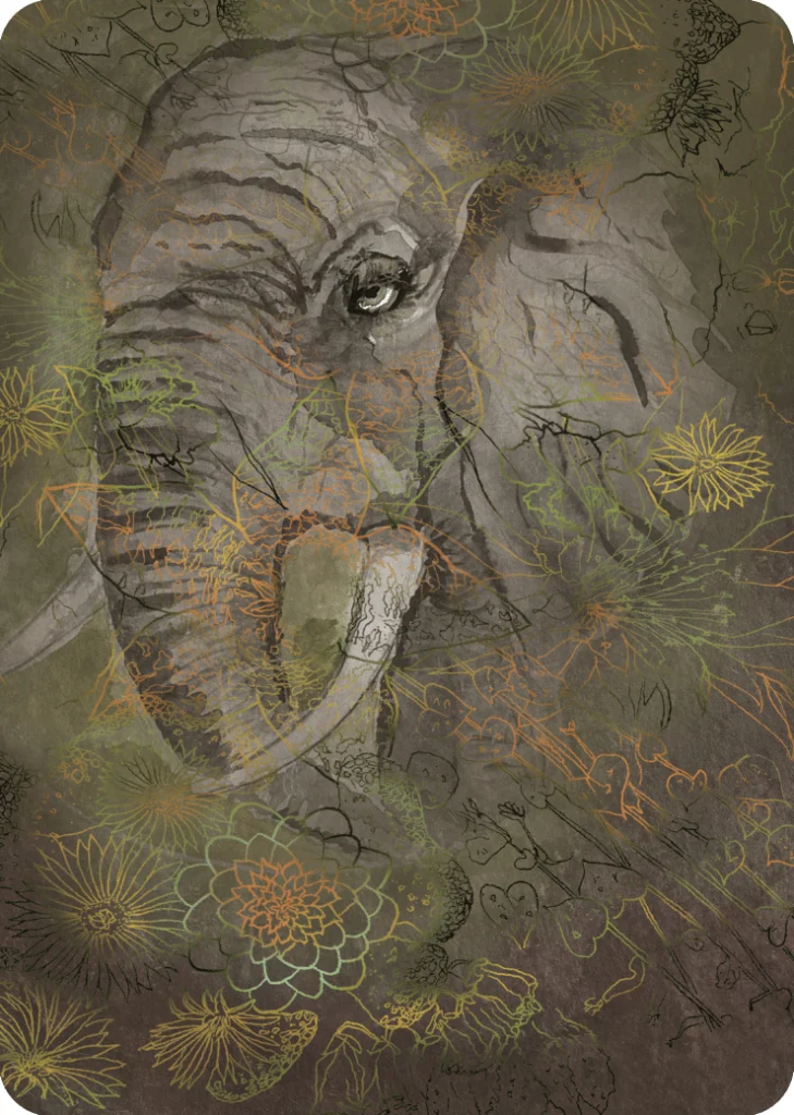 Elephant Kolimbri