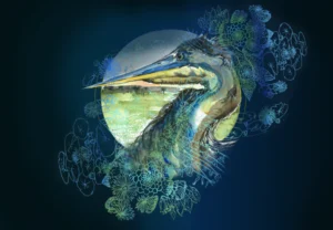 Kaart Reiger
