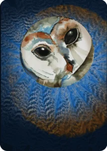 Owl