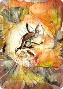 Kaart Kat