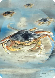 Kaart Krab