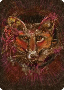 Fox
