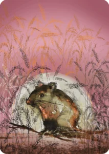 Kaart Muis