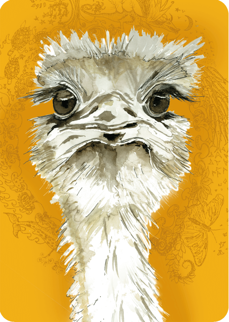 Ostrich card