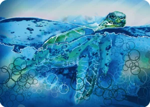 Kaart Zeeschildpad