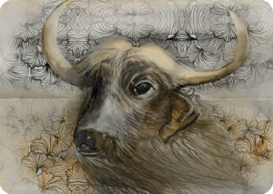 Kaart Buffel