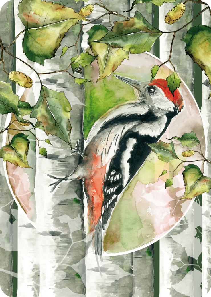 Woodpecker card