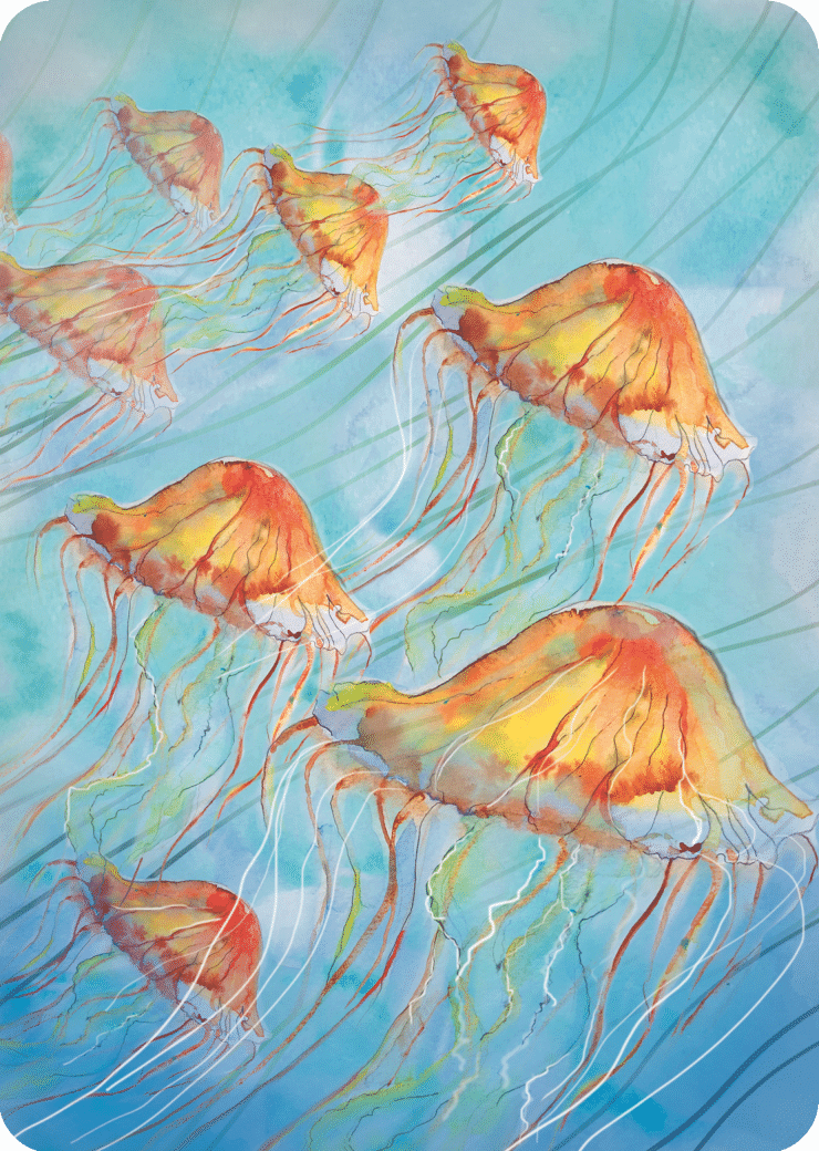 Jellyfish card