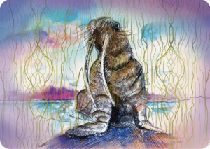 Kaart Walrus