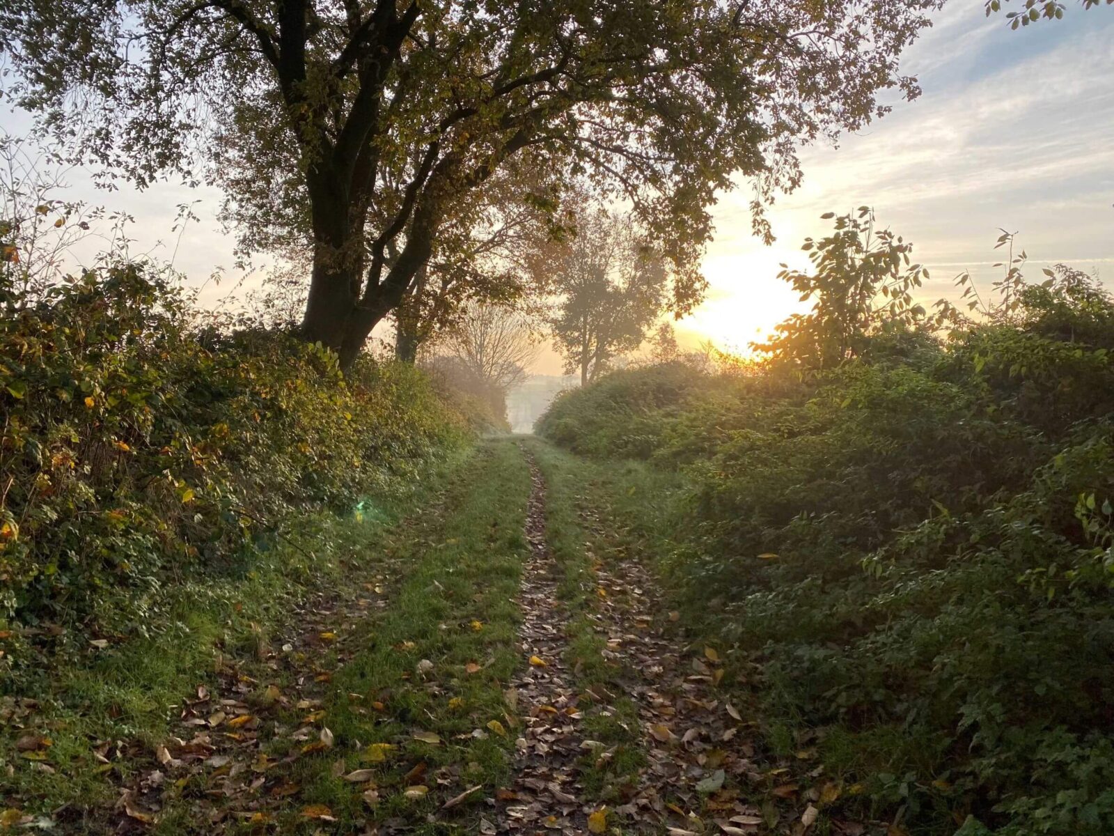 What is it about walking and talking in nature that opens up new possibilities?